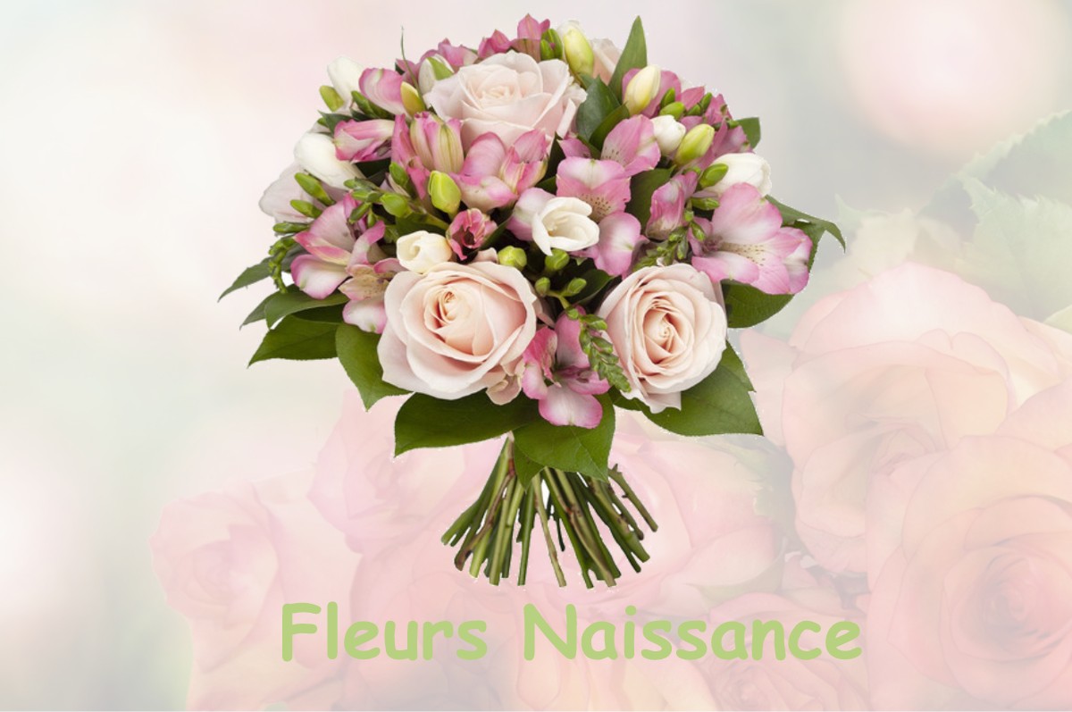 fleurs naissance OSSEY-LES-TROIS-MAISONS
