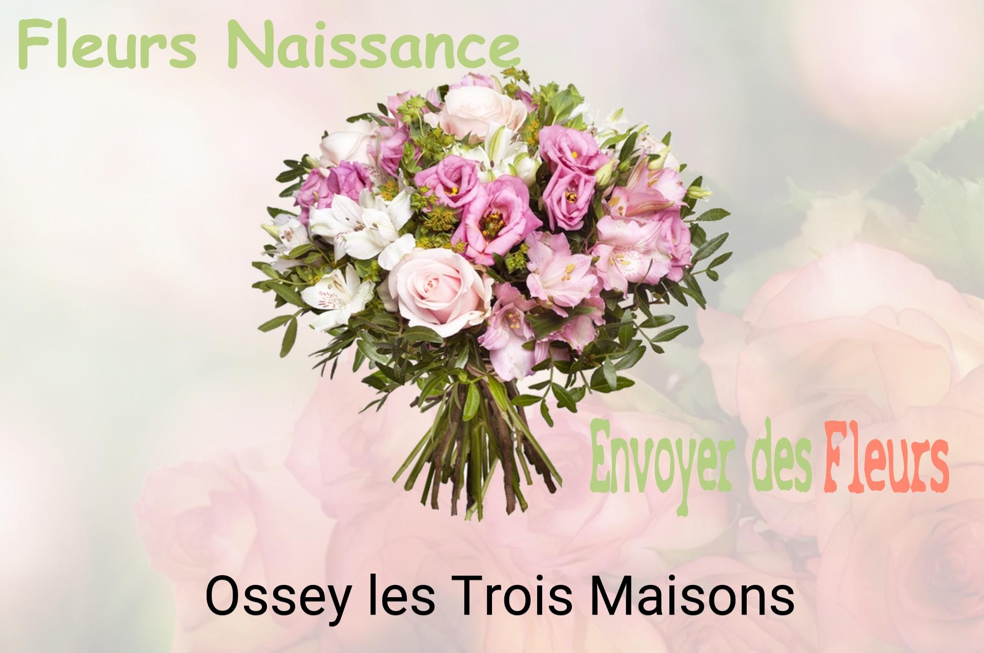 Bouquet de fleurs de naissance livré à Ossey-les-Trois-Maisons