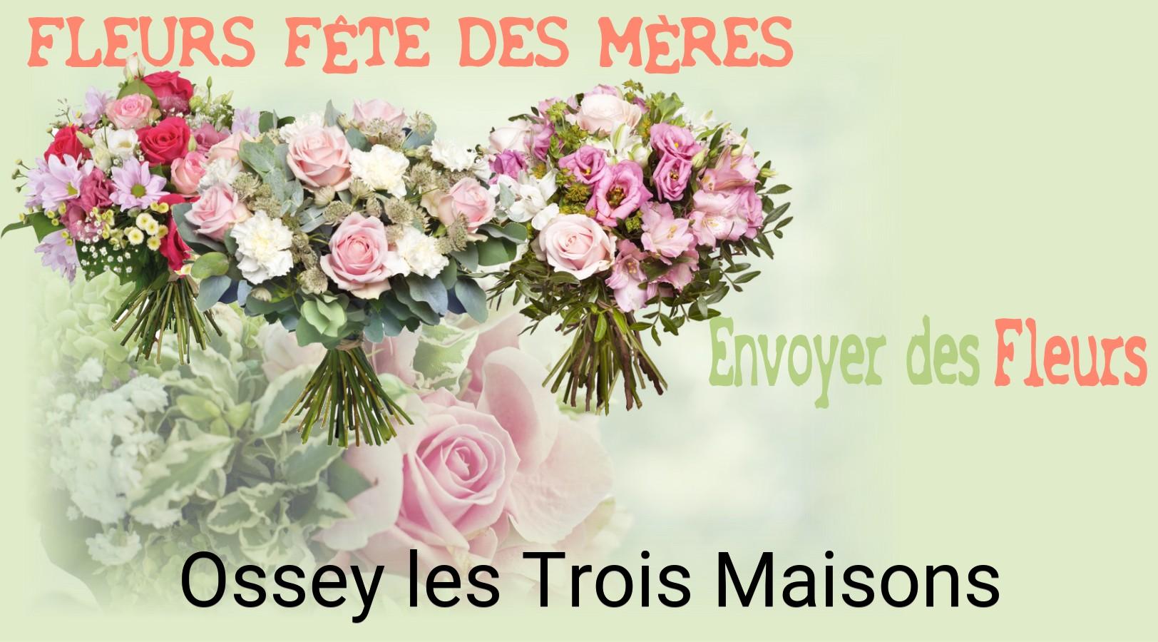 Bouquet de Fête des Mères livré à Ossey-les-Trois-Maisons